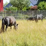 Haus Harzblick