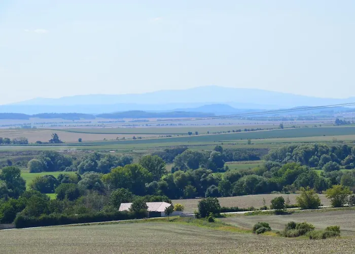 Haus Harzblick ヴィラ *